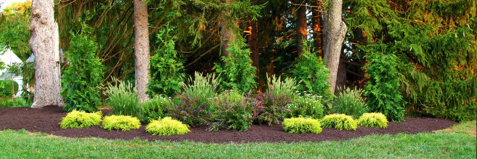 We provide landscaping
services since 1978